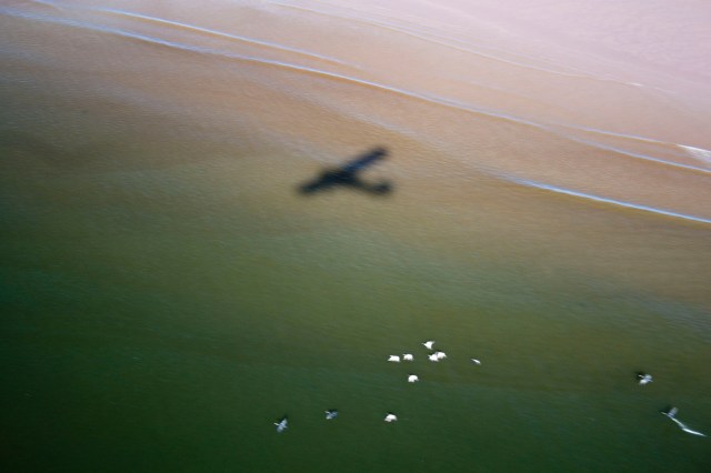 flying-free-montrose-beach
