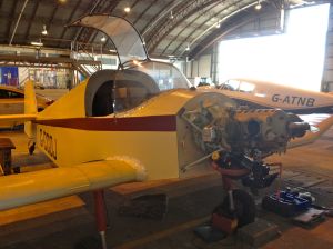 John's homebuilt Jodel