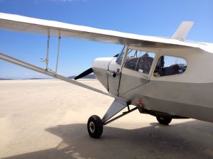 Looking north from JT up the beach