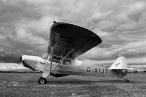 Vintage Auster